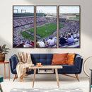 The Texas Christian University TCU Horned Frogs Football