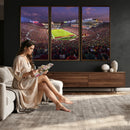 The University of Southern California USC Trojans Football