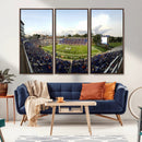 The Duke University Blue Devils Football Team Print - Durham