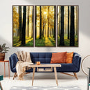 Sunlit Forest Wall Art Canvas Print – Large Framed Woodland