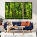 Lush Green Forest Canvas Print | 3-Panel Forest Wall Art | by MyGreatCanvas | Canvas Wall Art Prints | Photo Prints & Wall Decor