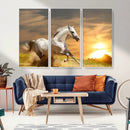 Large Wall Art Galloping White Horse at Sunset Canvas Print