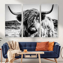 Black and White Scottish Cow Canvas Wall Art Highland Cattle