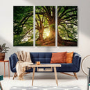 Majestic Ancient Tree Wall Art, NatureCanvas Print, Woodland by MyGreatCanvas | Canvas Wall Art Prints | Photo Prints & Wall Decor
