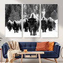 Bison Herd in Snow Wall Art Canvas Print | Rustic Western