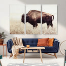 Bison in Field Wall Art Canvas Print For Farmhouse Barn