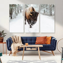 Bison Wall Art Canvas Print For Farmhouse, Animal Canvas