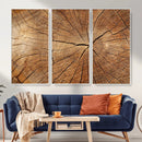 Tree Ring Canvas Art, Rustic Wood Grain Wall Art, Tree Slice