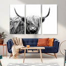 Black White Scottish Highland Cow Cattle Art Print Farmhouse