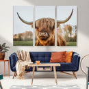 Highland Cow Animal Scottish Cattle Art Print Farmhouse Wall