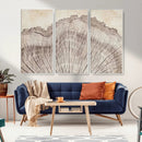 Tree Ring Wall Art Triptych, Rustic Wood Ring Canvas Print,