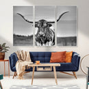Texas Longhorn Cow Wall Art, Texas Longhorn Canvas, Cattle