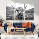 Black White Scottish Highland Cow Canvas Farm Wall Art