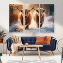 Scottish Highland Cow Horn Farm Wall Art Canvas Print