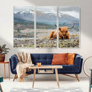 Highland Cow Horn Farm Wall Art Canvas Print