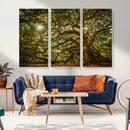 Ancient Angel Oak Tree Art Sunburst Canvas Print-