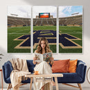 Football Stadium Wall Art – Framed Sports Field Canvas