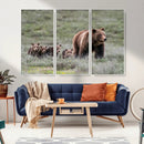 Wildlife Photography of 399 Grizzly Bear Cubs | Queen of the