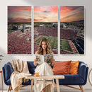 Indiana Memorial Stadium Wall Art Canvas Print, Framed