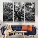 Black and White Old Angel Oak Tree Wall Art Canvas Print