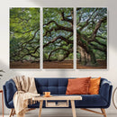 Historic Tree Wall Art – Framed Mossy Branch Canvas Artwork, by MyGreatCanvas | Canvas Wall Art Prints | Photo Prints & Wall Decor