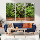 Majestic Oak Tree Wall Art Canvas Print – Ancient Branches by MyGreatCanvas | Canvas Wall Art Prints | Photo Prints & Wall Decor
