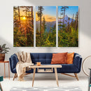 Forest Sunset Wall Art Canvas Print, Glowing Evening Light by MyGreatCanvas | Canvas Wall Art Prints | Photo Prints & Wall Decor