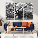 Ancient Oak Wall Art Canvas Print – Gnarled Tree Twisted by MyGreatCanvas | Canvas Wall Art Prints | Photo Prints & Wall Decor