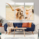 Texas Longhorn Wall Art Canvas Print – Framed Spotted Cow