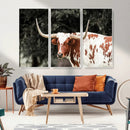 Texas Longhorn Wall Art Canvas Print – Framed Spotted Bull