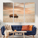 MyCanvas -