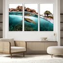 Sea Turtle Wall Art Canvas Print – Framed Ocean Life