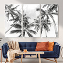 Black and White Palm Wall Art Canvas Print – Framed