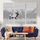 Elk Wildlife Wall Art Canvas Print – Framed Mountain Elk Art by MyGreatCanvas | Canvas Wall Art Prints | Photo Prints & Wall Decor