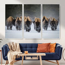 Bison Herd Wall Art Canvas Print, Framed Rustic Wildlife by MyGreatCanvas | Canvas Wall Art Prints | Photo Prints & Wall Decor