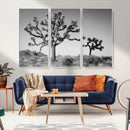 Joshua Tree Wall Art Canvas Print – Framed Monochrome Desert
