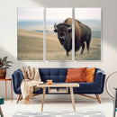 Bison Wall Art Canvas Print – Framed Buffalo American Bison