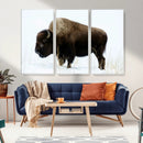 Bison Wall Art Canvas Print – Framed Western Wildlife