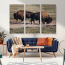 Bison Wall Art Canvas Print – Framed Western Wildlife Modern by MyGreatCanvas | Canvas Wall Art Prints | Photo Prints & Wall Decor
