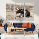 Texas Longhorn Wall Art Canvas Print – Framed Country Living