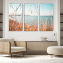 Coastal Grass Landscape Wall Art Canvas Print – Golden
