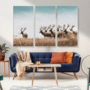 Elk Herd Wall Art Canvas Print – Framed Wildlife Photography