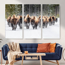 American Bison Herd Wall Art Canvas Print – Powerful Winter by MyGreatCanvas | Canvas Wall Art Prints | Photo Prints & Wall Decor