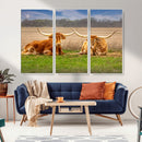 Texas Longhorn Pair Wall Art Canvas Print – Peaceful Rustic by MyGreatCanvas | Canvas Wall Art Prints | Photo Prints & Wall Decor