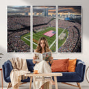 Chicago Bears Soldiers Field Wall Art Canvas Print – Framed