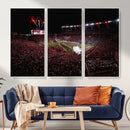William Brice Stadium Wall Art Print – Baseball Game Room by MyGreatCanvas | Canvas Wall Art Prints | Photo Prints & Wall Decor