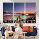 Dooley Stadium Wall Art, Sports Arena Canvas Print, Dooley