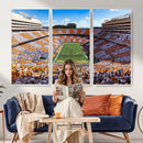 Tennessee Neyland Stadium Wall Art, Sports Arena Canvas by MyGreatCanvas | Canvas Wall Art Prints | Photo Prints & Wall Decor