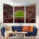 Tennessee Neyland Stadium Wall Art, Sports Arena Canvas by MyGreatCanvas | Canvas Wall Art Prints | Photo Prints & Wall Decor
