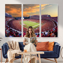 Dooley Stadium Wall Art, Sports Arena Canvas Print, Dooley